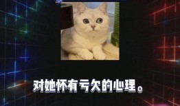 2024娱乐圈八卦吃瓜,揭秘明星幕后秘事与情感纠葛