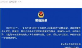 新闻线索爆料视频,视频爆料背后的真相
