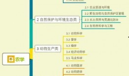热联爆料视频大全集下载,揭秘娱乐圈幕后风云