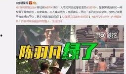 今日爱尔兰爆料视频最新,惊人真相曝光！