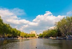 甲子湖最新爆料,揭秘湖中惊现神秘生物之谜