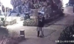 吃瓜爆料完整视频,完整视频揭秘事件真相