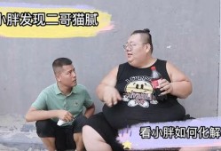 小胖爆料二哥视频播放全集,视频全集揭秘惊人内幕