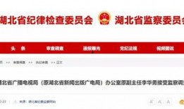 湖北爆料最新新闻消息,聚焦突发事件，揭秘背后真相