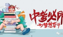 新疆导游爆料事件最新消息,揭秘背后真相与影响