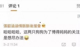吃瓜娱乐地理,揭秘娱乐圈背后的故事与热点